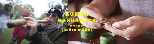 прущие крисы Няндома